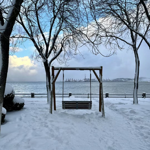 路灯下雪花飘成你的轮廓
味道
那年下雪的时候
雪落的模样像你
