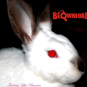 Givin The Dog A Bone - Unreleased AC/DC Cover