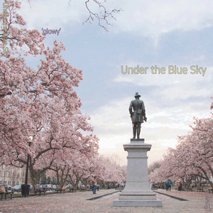 Sun-Kissed Afternoon