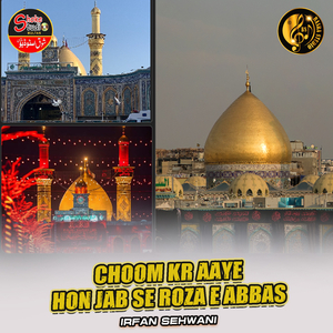 Choom Kr Aaye Hon Jab Se Roza e Abbas (1)