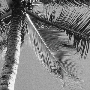 Caer (Resguardándome en la Noche)