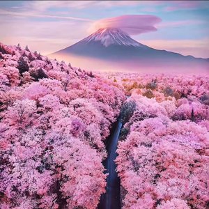 趁早