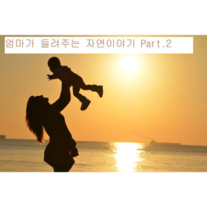 자연속 새 이야기 Part.2