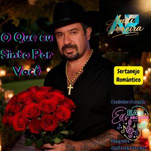 O Que eu Sinto Por Você