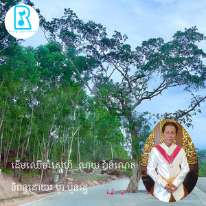 ដើមឈើចាំស្នេហ៌