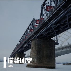 油尖旺金毛玲cover（Serrini樹妮妮）