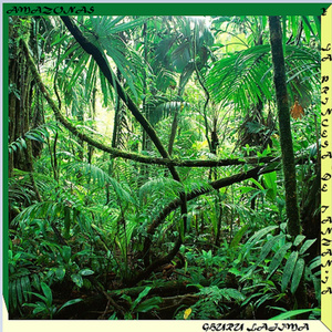 Amazonas