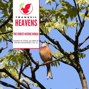 Mellodious Bird Songs