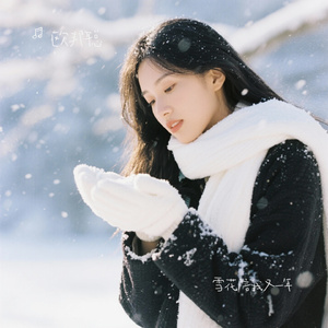 雪花陪我又一年