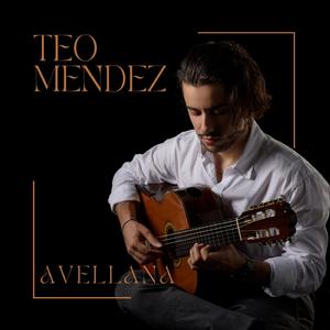 Avellana