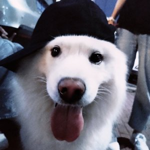 李知韫-费洛蒙（李知韫 remix）