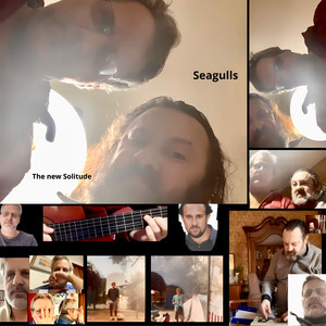 Seagulls (Dark Suite Project 2022)