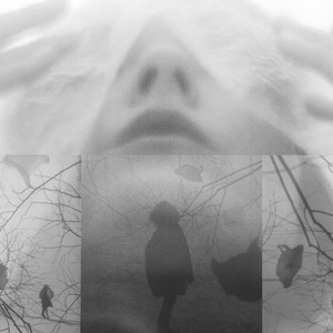 Целлофановый пакет