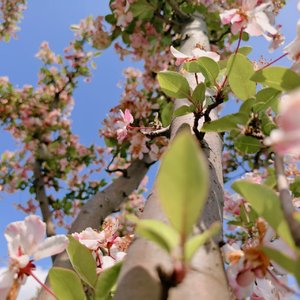 那束光（说唱）