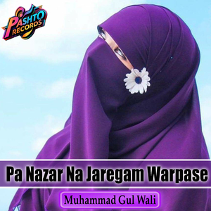 Pa Nazar Na Jaregam Warpase
