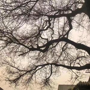 为你收藏下雨后的晴天