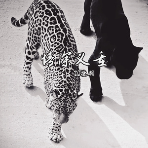 情深义重（战斗版）