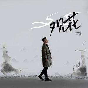 观花 (DJ默涵版)