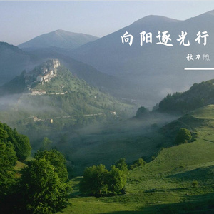 向阳逐光行