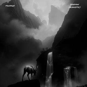 Shadow (Acoustic)