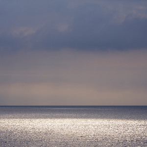 psychefool (Live at Home)