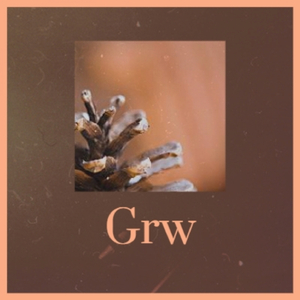 Little Red Riding Hood