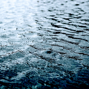 Reflections In The Storm