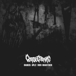 Chainsaw Cross Section Born from Butchery