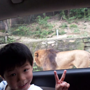 秋迟（Prod.Siren&EVO MUSIC)(2)