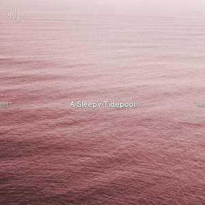 Sounds From Sailing