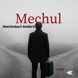 Meçhul (feat. Bestekâr Ai)
