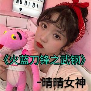 火蓝刀锋之武钢