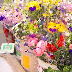 我在集市兜售春天