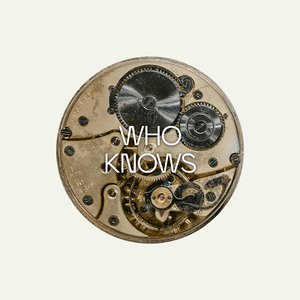 Who Knows (feat. Jono McCleery)