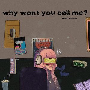 why won't you call me? (feat. Luvless)
