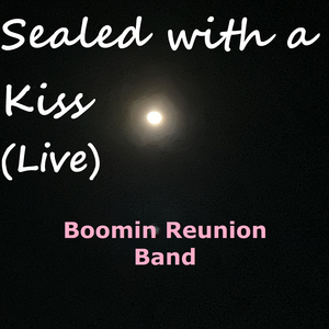 Sealed With A Kiss (Live)