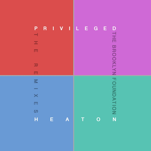Privileged (Norm Vork Remix)