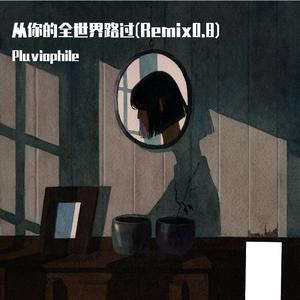 从你的全世界路过（Remix0.8）