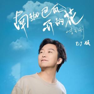 南迦巴瓦开的花（DJ版）