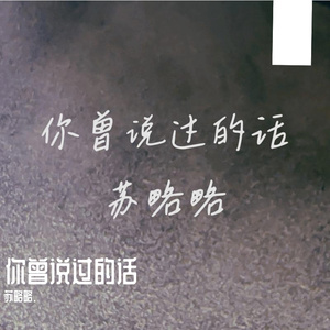 你曾说过的话