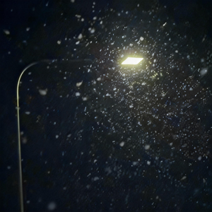 在这飘雪的晚上