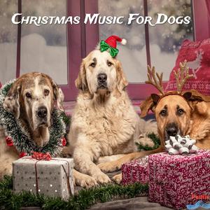 Do You Want to Build a SnowDog