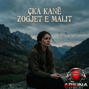 Çka kan zogjt e malit