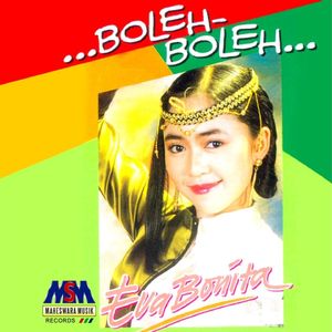 Boleh Boleh