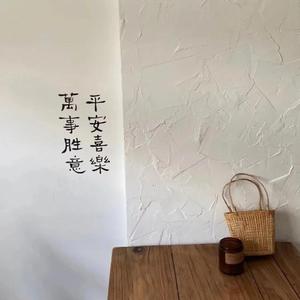 我不是你的宋冬野(吉他版)