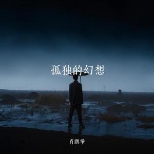孤独的幻想