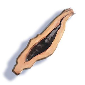 槟榔日记（prod by Rising Beat）