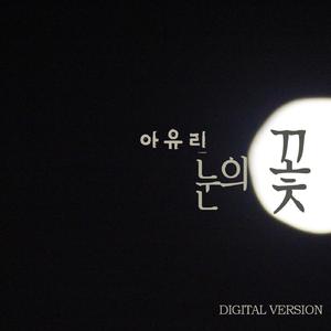 눈의 꽃