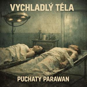 Vychladlý těla