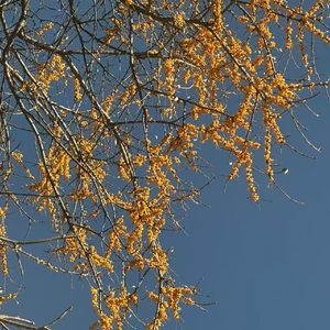 秋风.feat黄有财